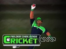 Cricket Fielder Problem Sport